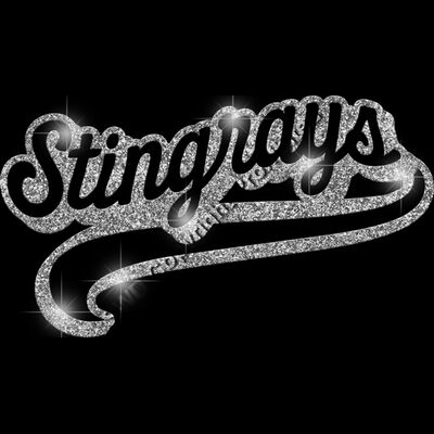 GLT78 SILVER GLITTER Thumbnail