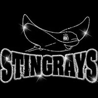 GLT32 SILVER GLITTER Thumbnail